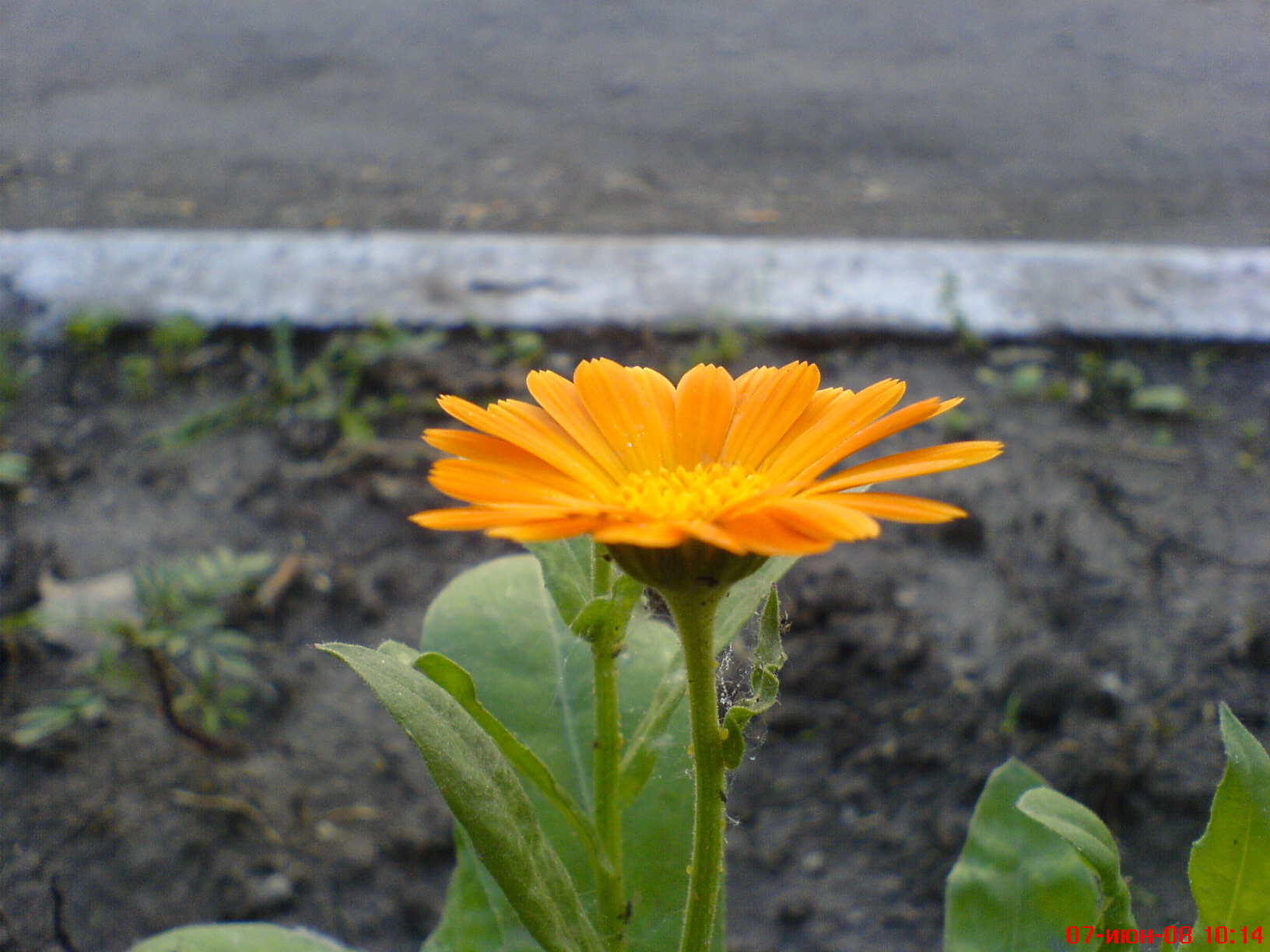 DSC00086