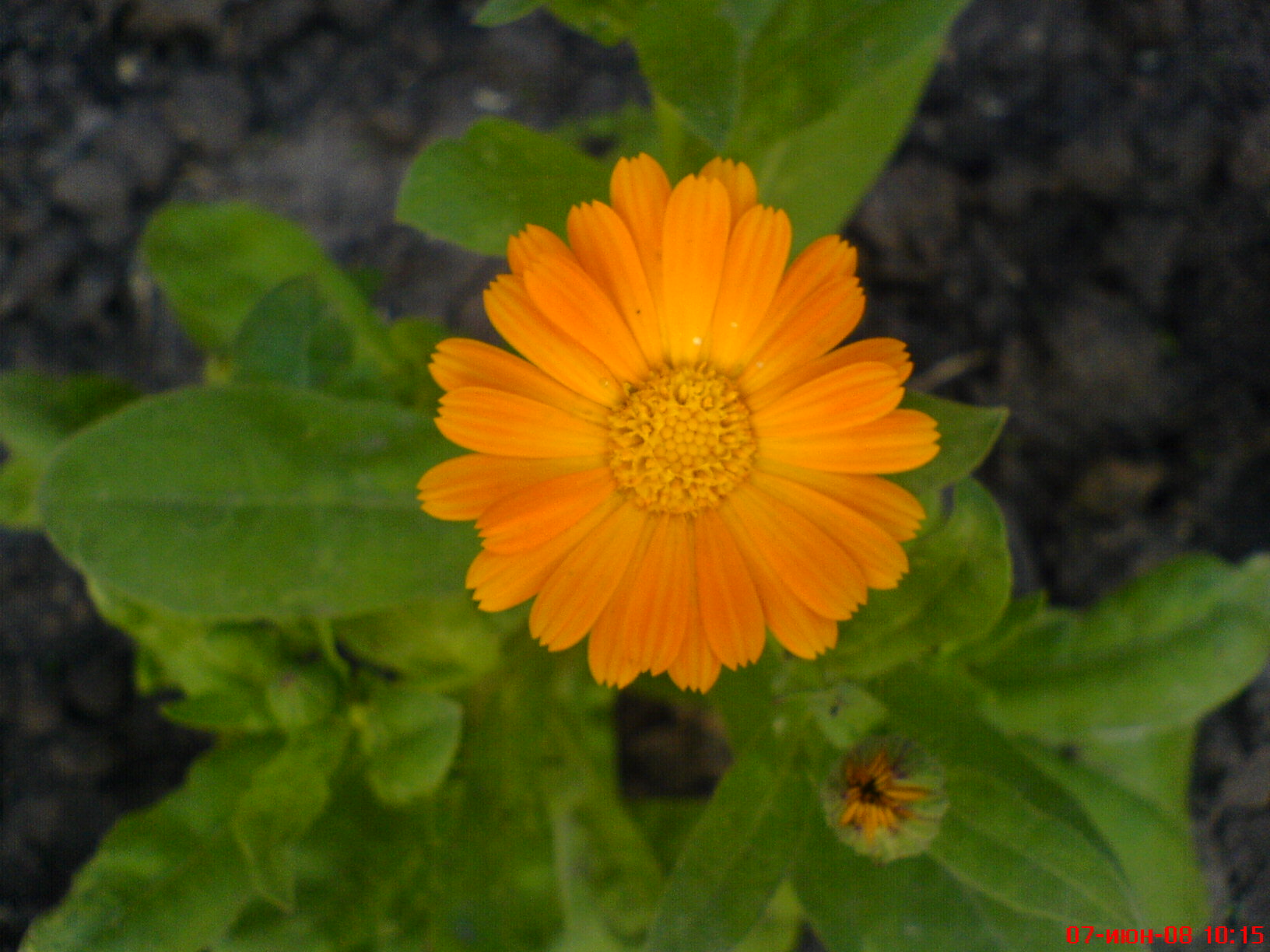 DSC00087
