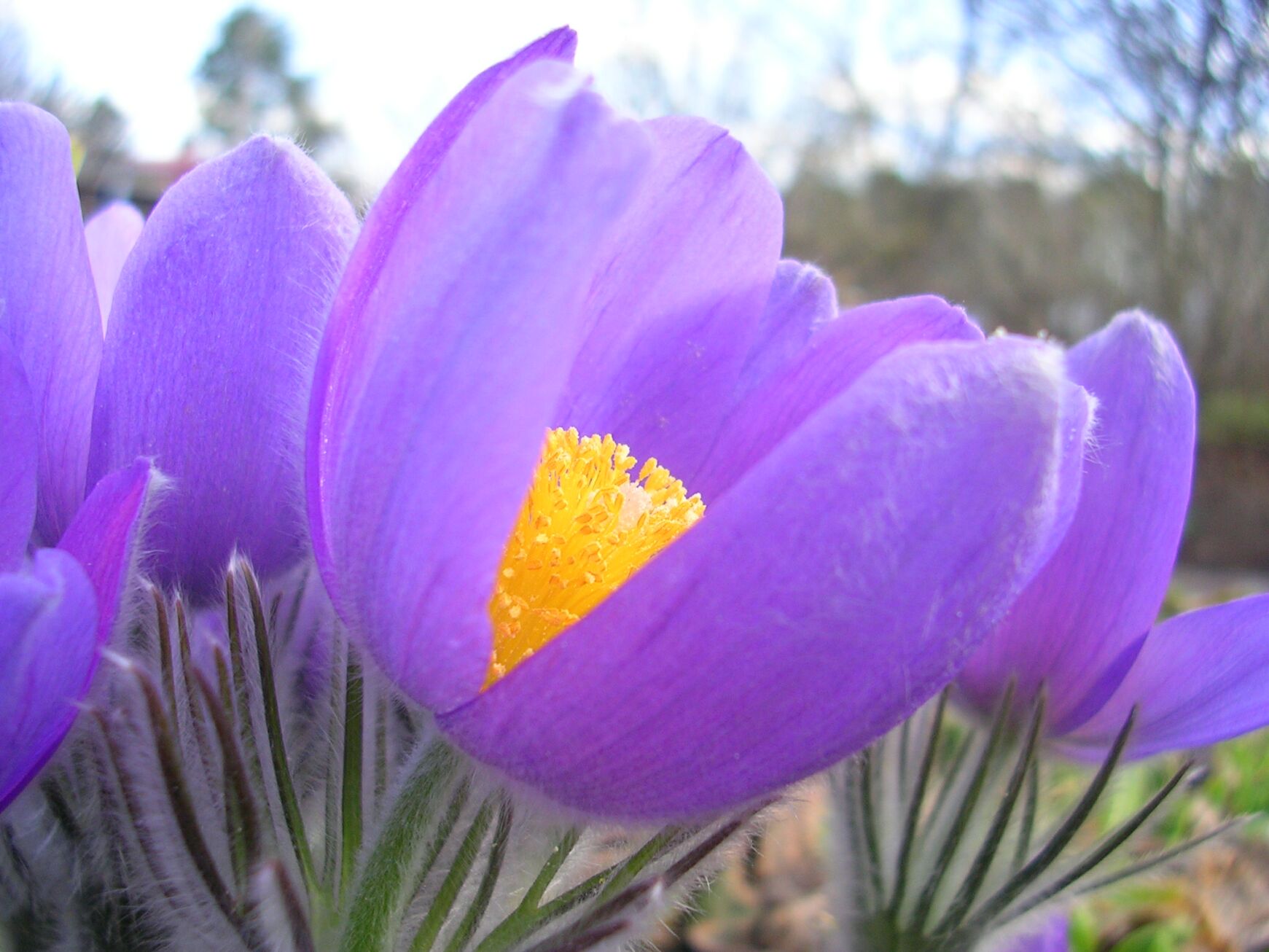 DSCN0385385