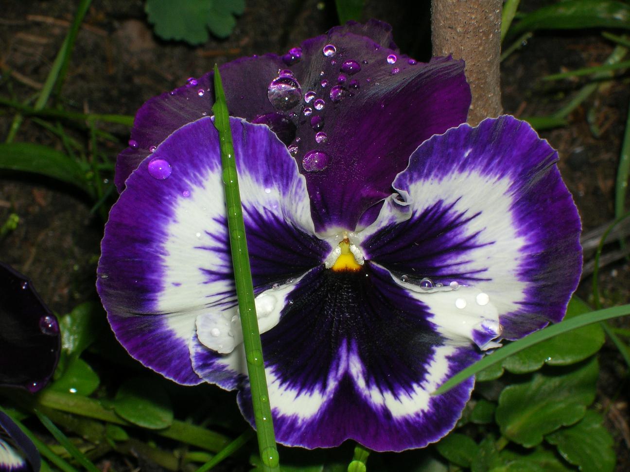 DSCN1680