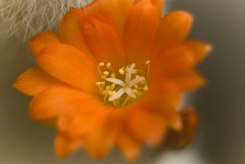 DSC_00751