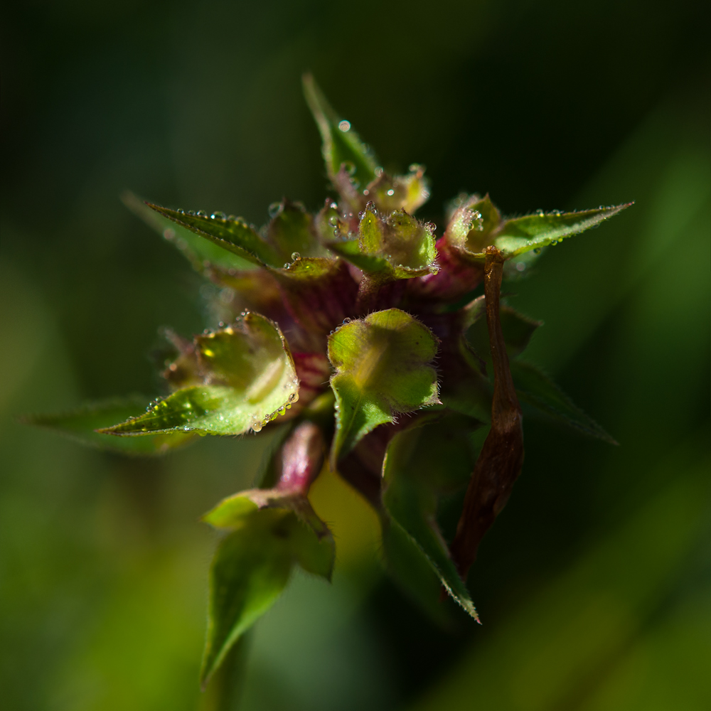 DSC_0257_FMWW