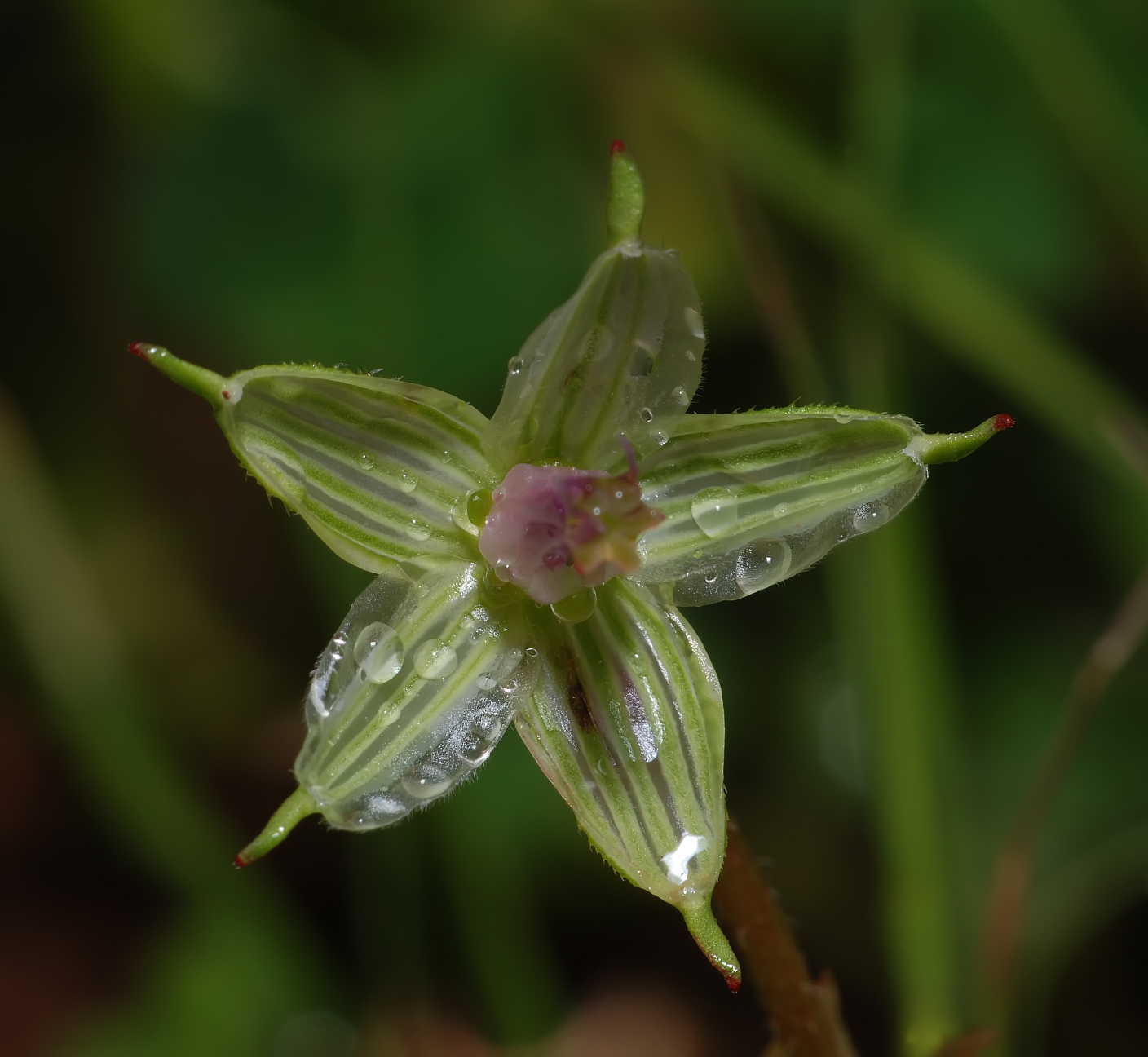 DSC_3708_FMWW