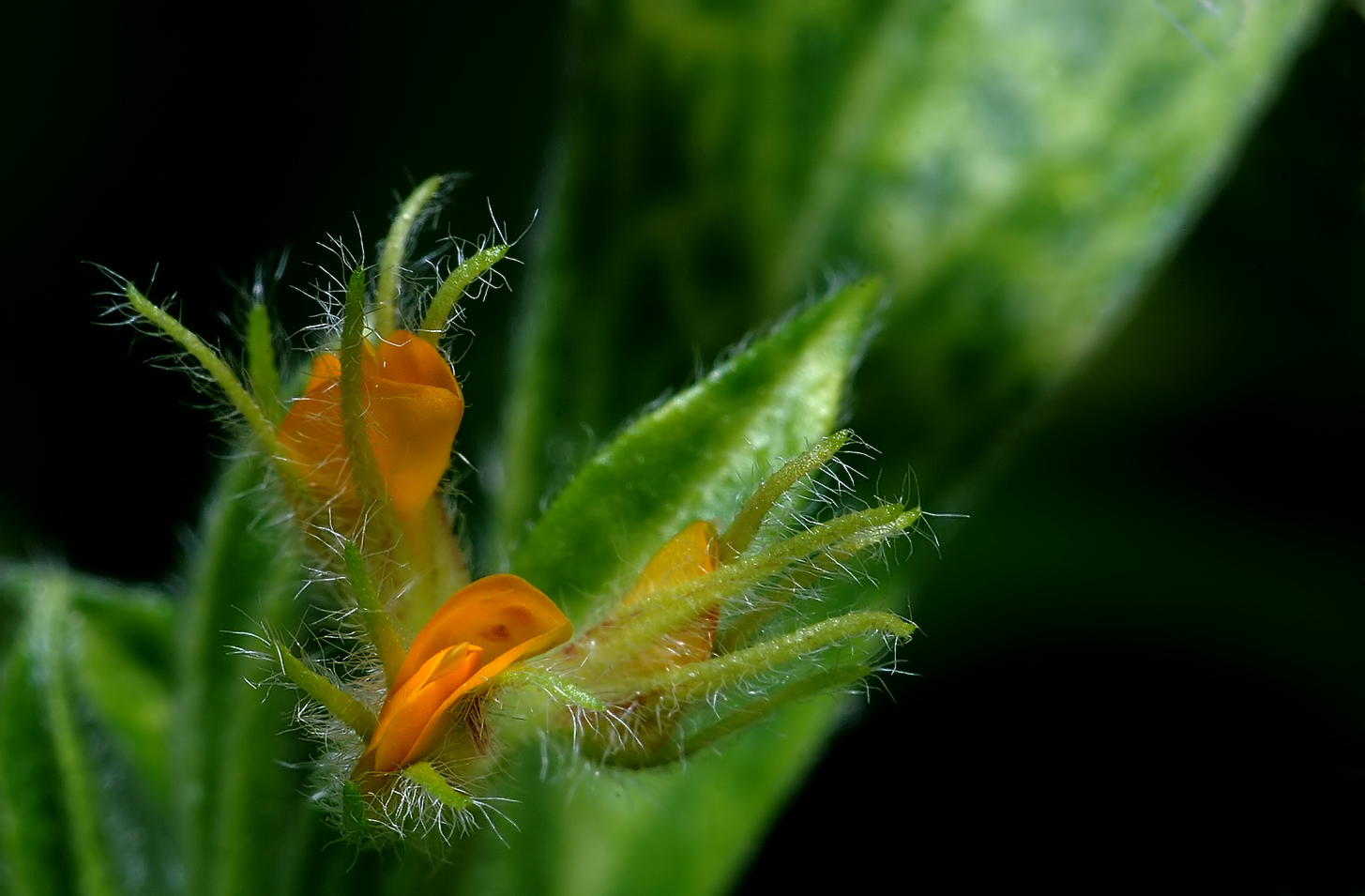 DSC_3896_FMWW