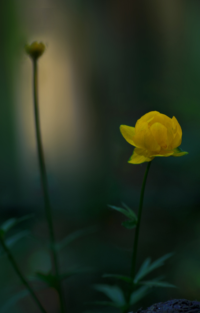 DSC_5763