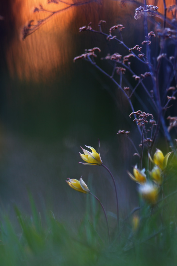 IMG_0671_2_3_Interior