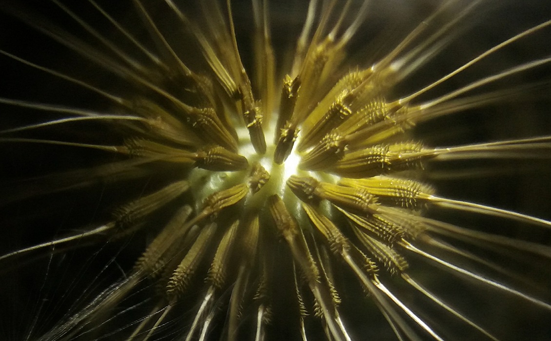 IMG_13042020_233239_1130_x_700_