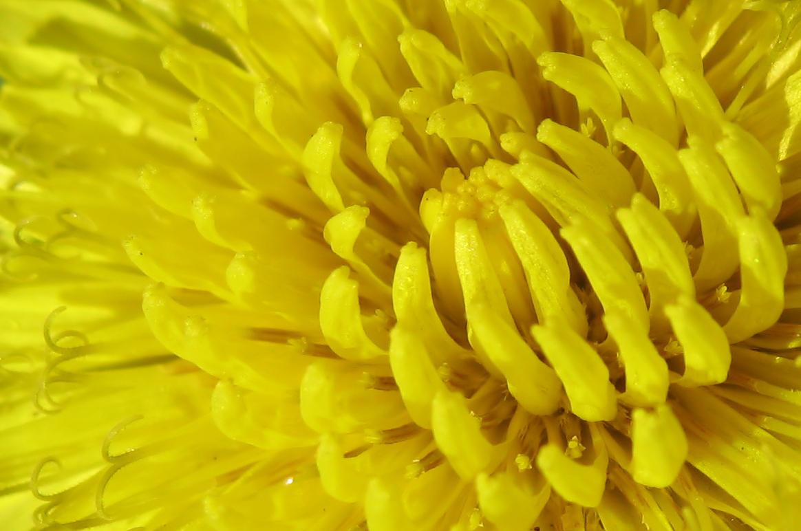 IMG_1746_filtered111