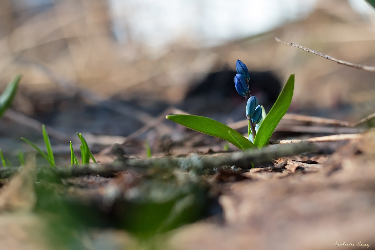 IMG_5723ps_sRGB_small_4