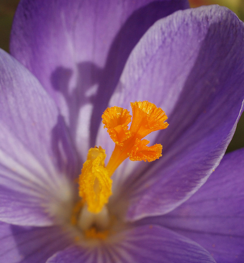 SG102140_Converted-11