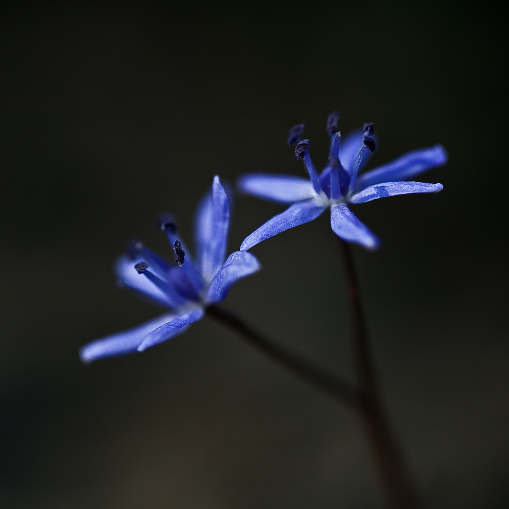 U7A0203_3_1