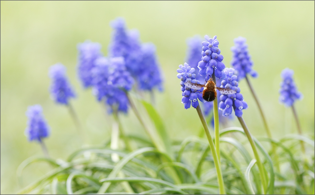 U7A6406_3_04April2016_Alexander_Zelenko