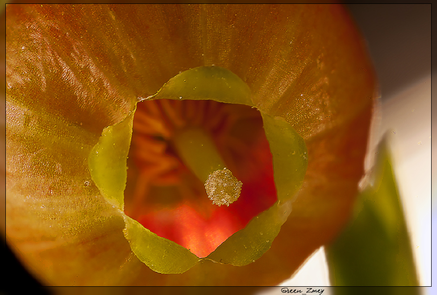 rectangle_New-Out99999-1