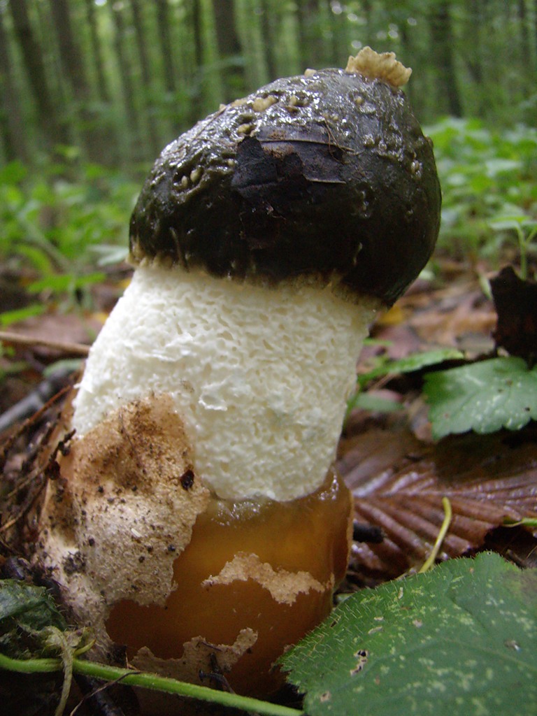 0_5506e_b8a99c41_XXL