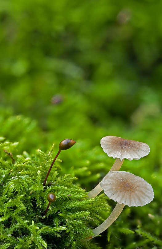 11-10-18_174343_M_A_R_8_S_4