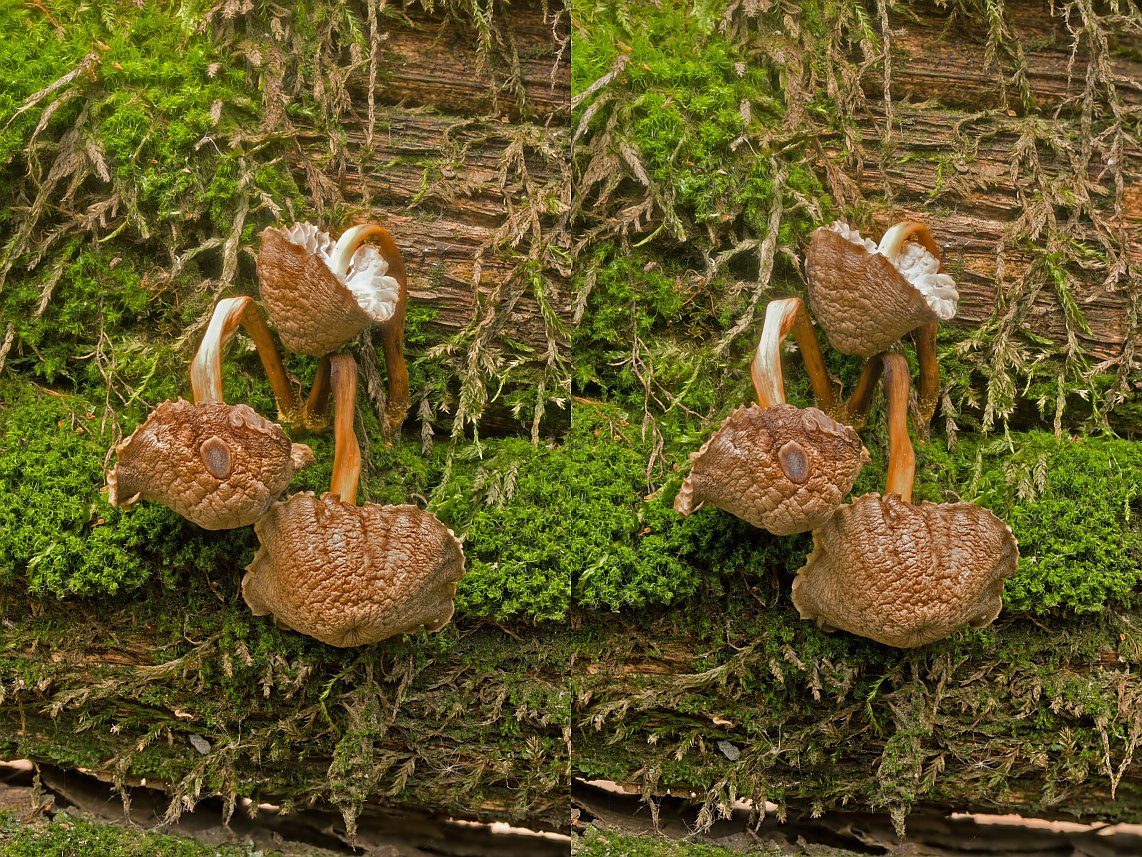 11-10-22_105514_M_A_R_8_S_4