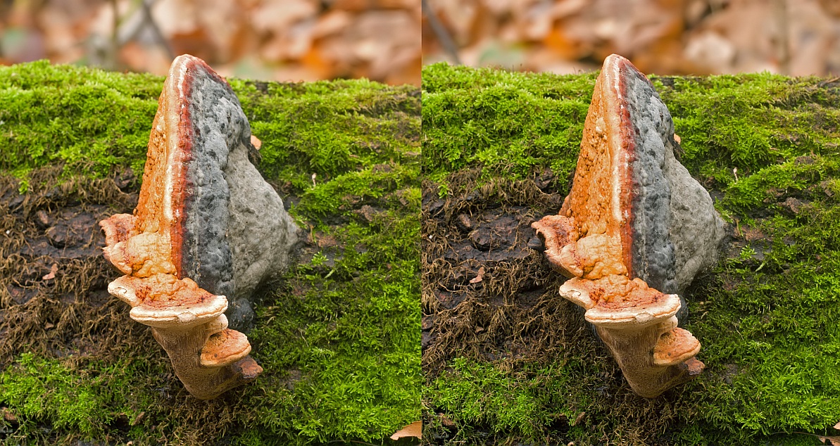 11-11-03_123833_M_A_R_8_S_4