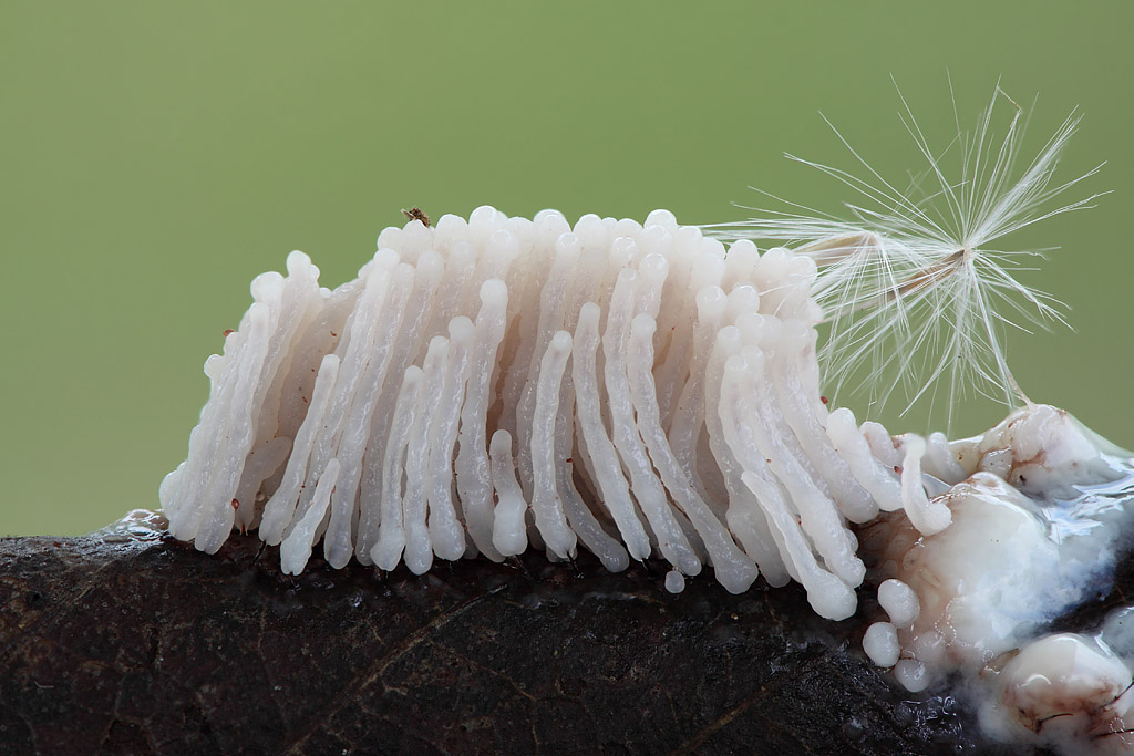 12-08-26_161908_M_B_R_8_S_4