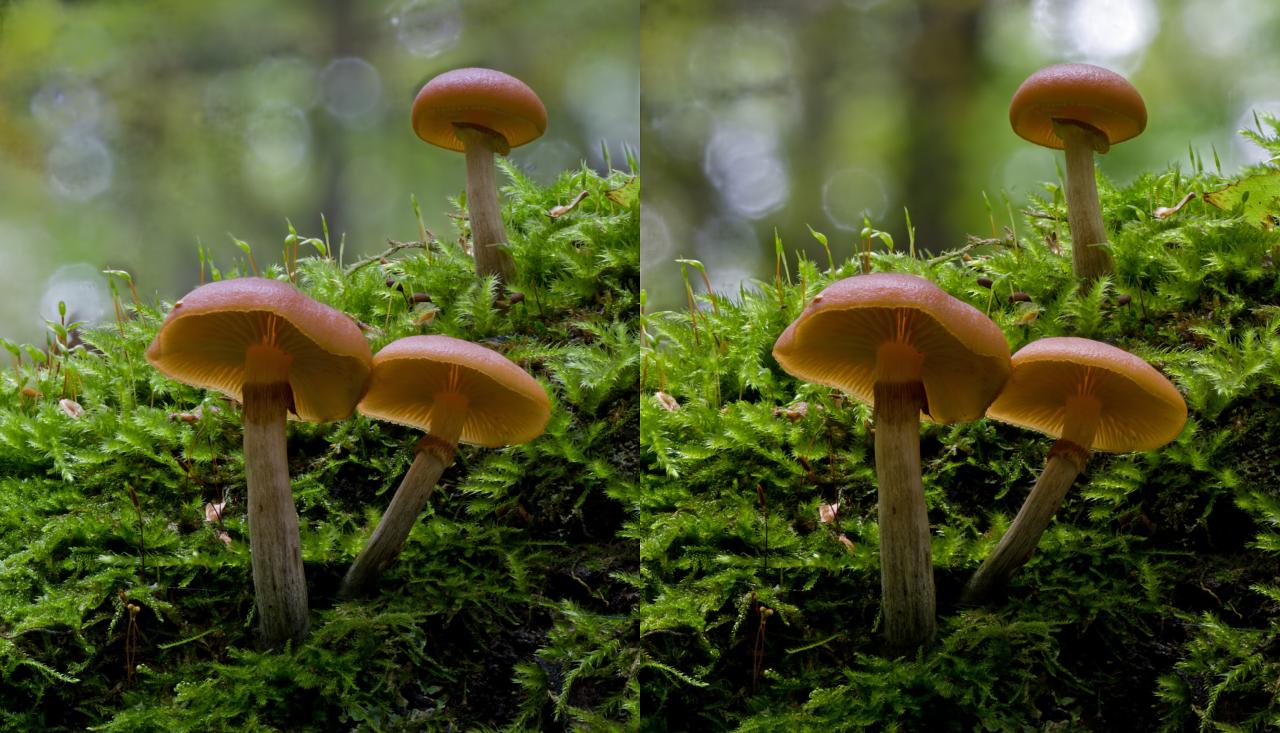 12-09-09_010818_M_A_R_8_S_4