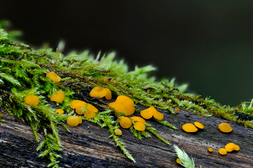 13-11-09_232143-_500