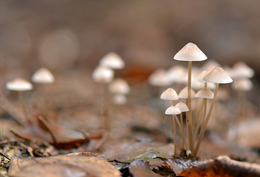 200_-_Copy_2_edited-1