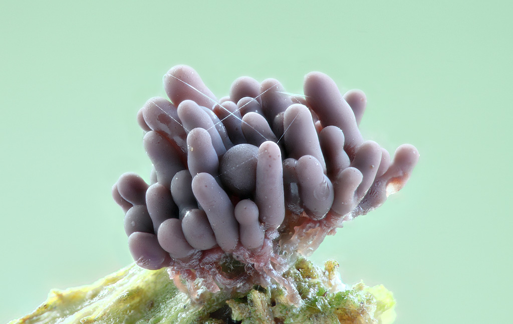 2013-08-09-17_08_05_ZS_PMax