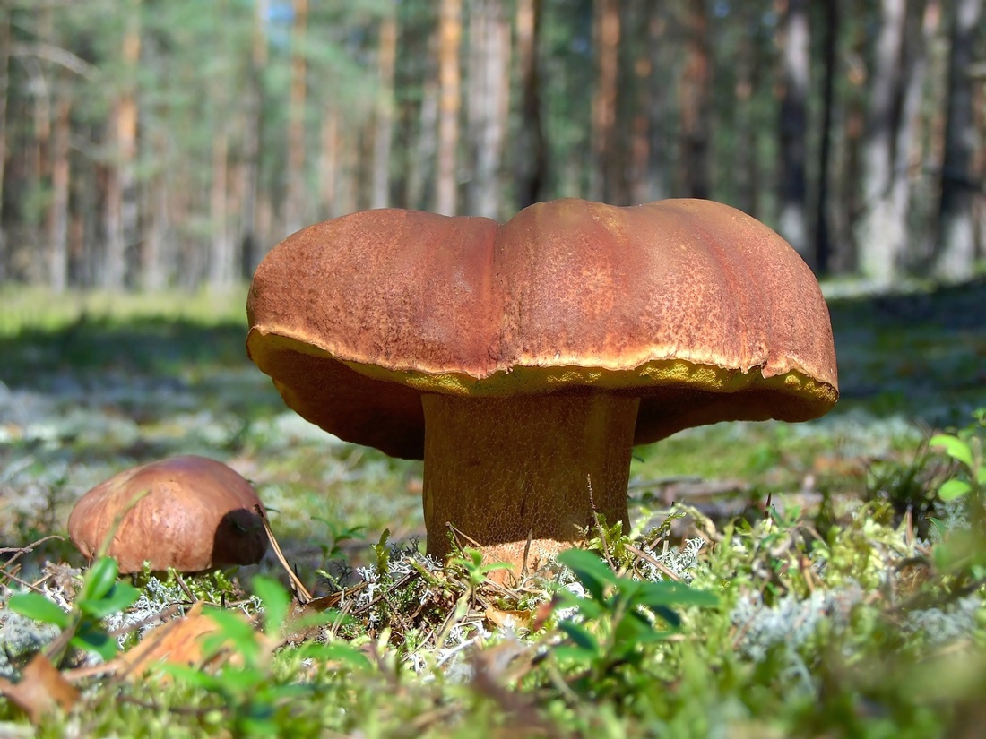 2013_08080100-0_filtered