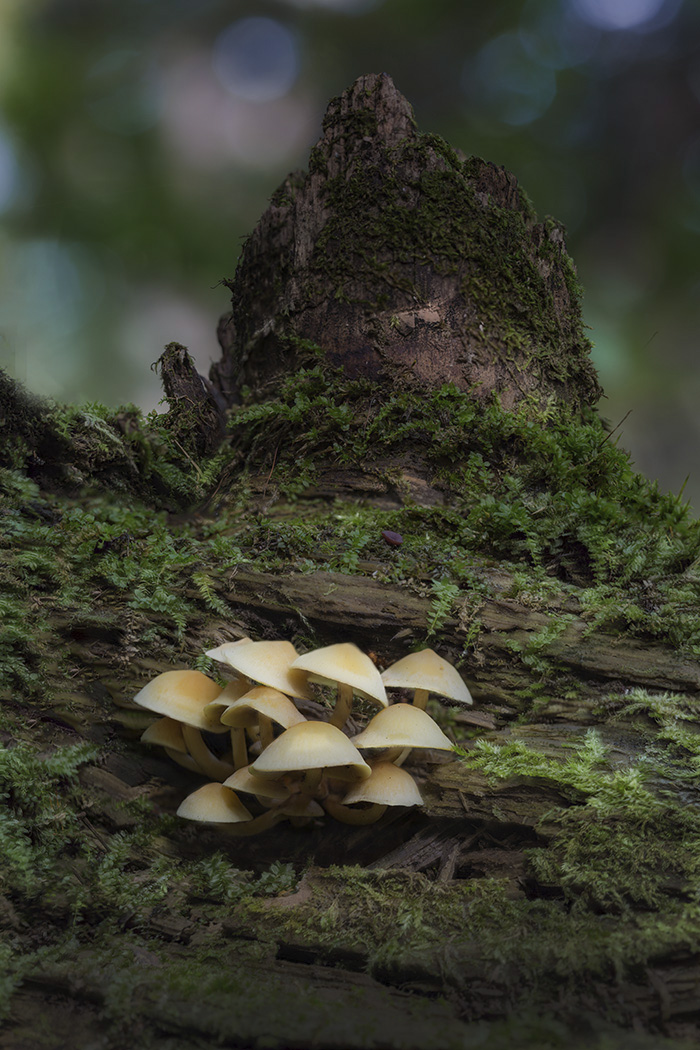 2017-10-22_22-53-49_C_2_