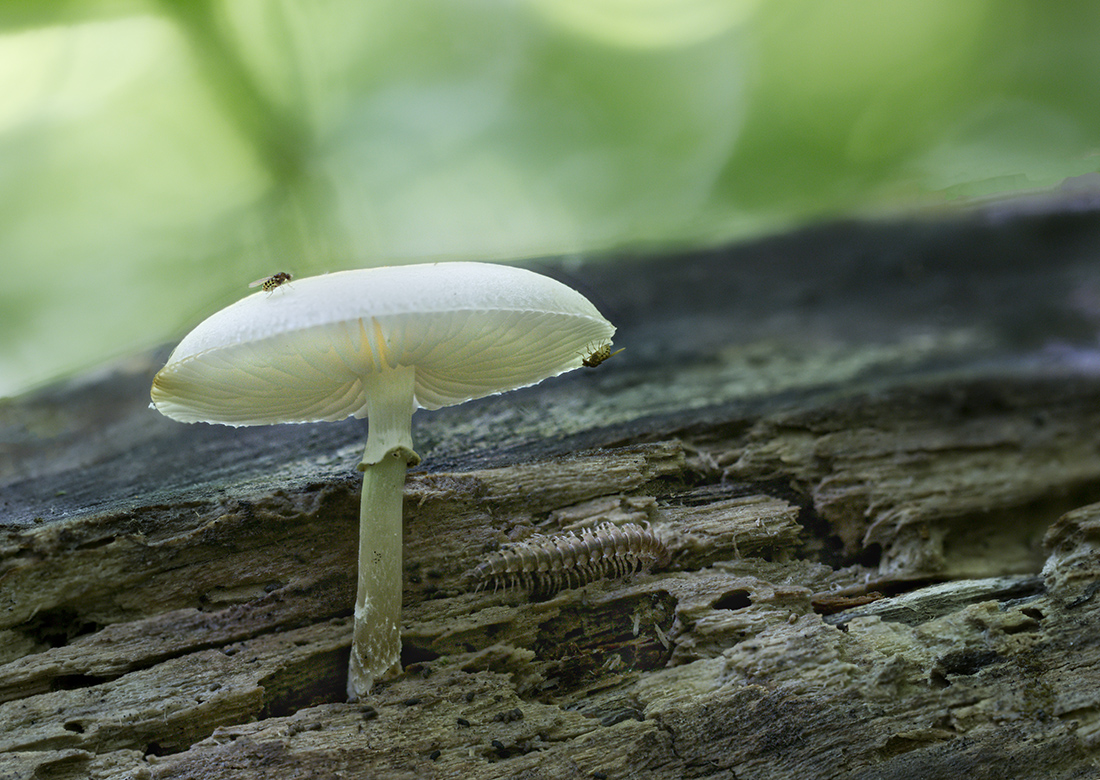 2020-06-07_14-42-05_C_Smoothing4_