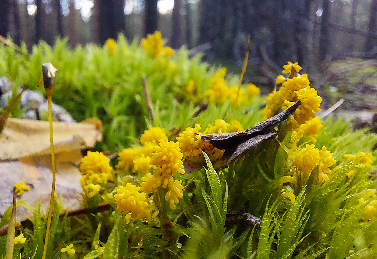 20240901_123930_1_rr