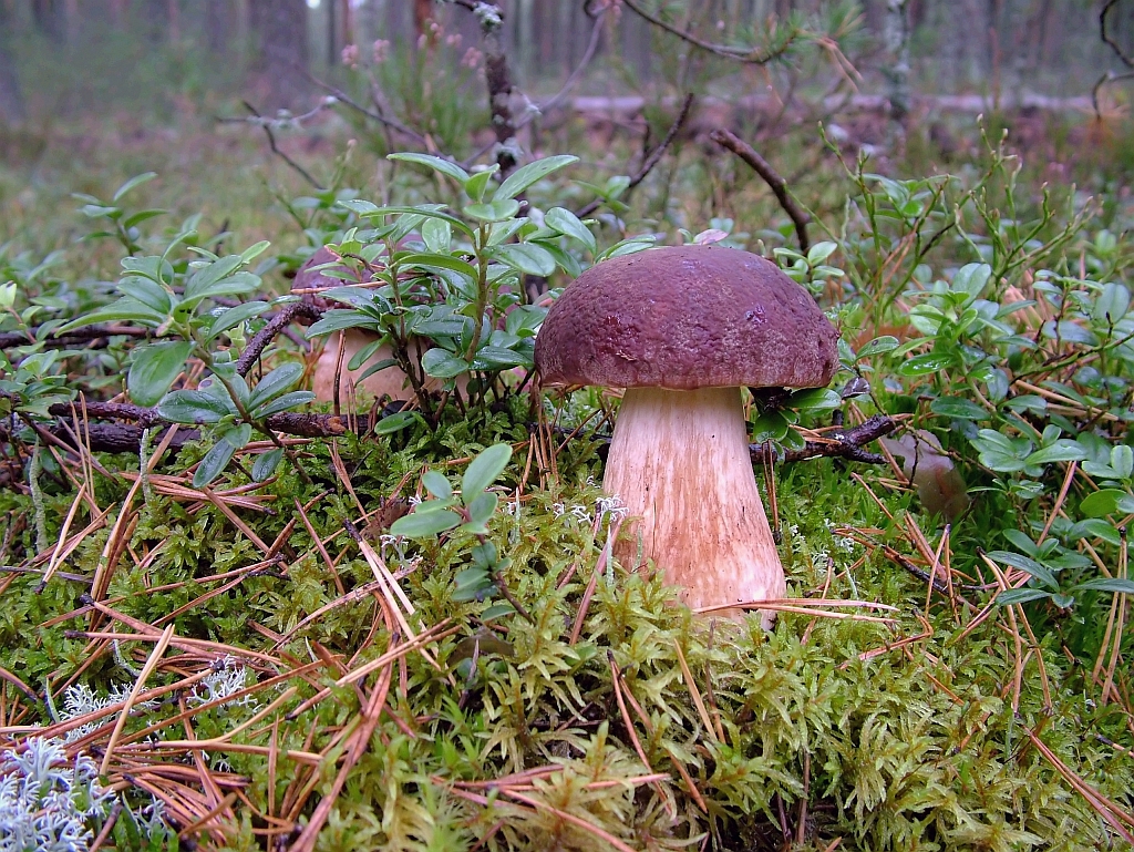 28_09_04_029-0_filtered