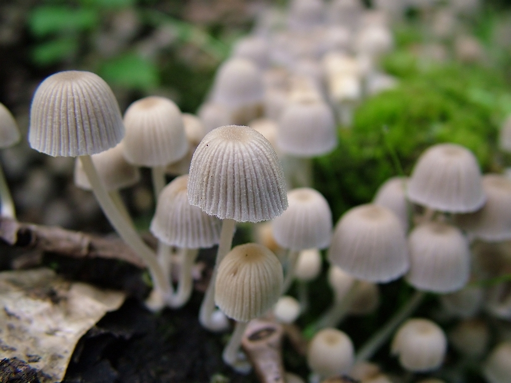 29_08_04_032_filtered