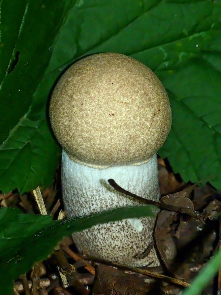 BB51CE96-214A-4FB3-8735-90CE5F5DFB65