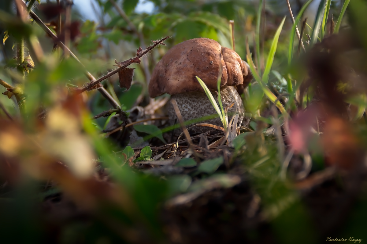 IMG_2366ps_sRGB4_small_