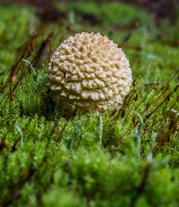 MG_6130-2014-_-20140824-_-_-_-716_830--492_