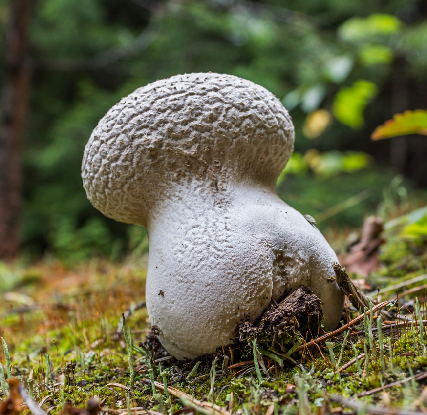 MG_6216-2014-_-_-20140828-_-_-_--874_850-489_