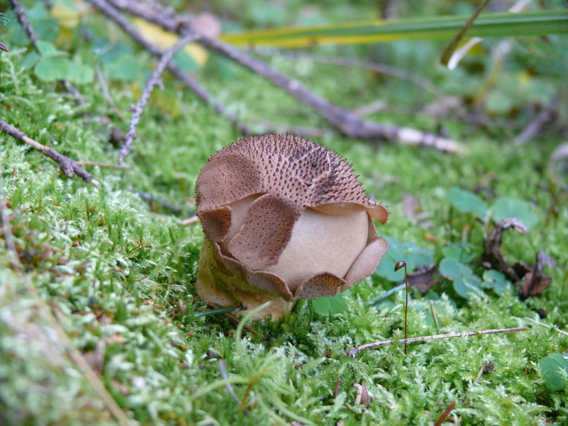 P1060166