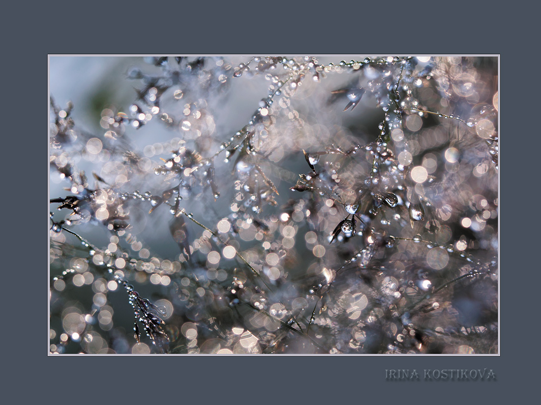 25_06_13_IMG_8024_1100_825