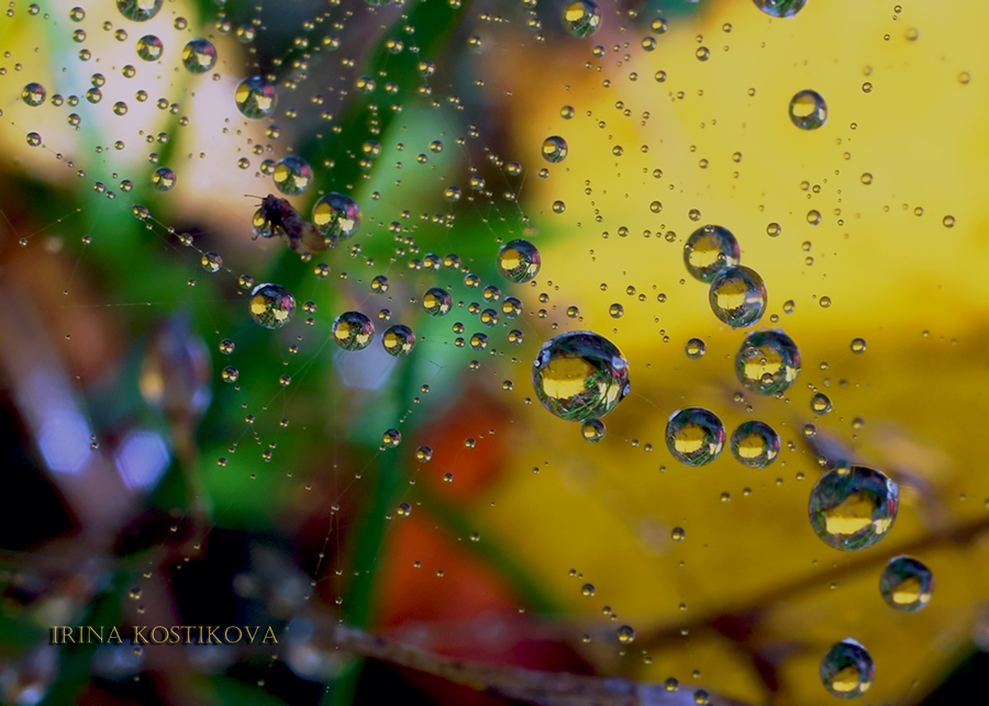 28_09_09_078_900_643