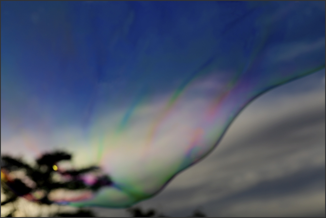 BU7A8757_18Juni2016_Alexander_Zelenko