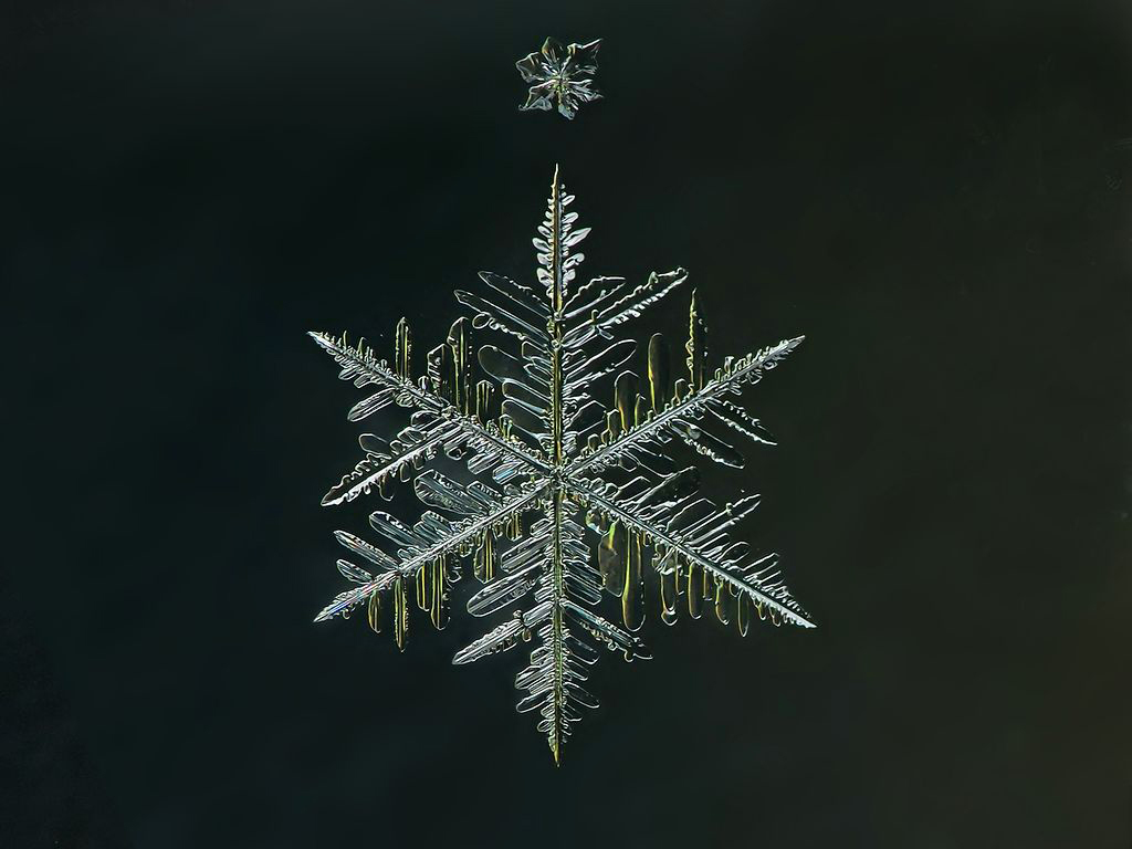 DSC09492-94_0_copy1_copy