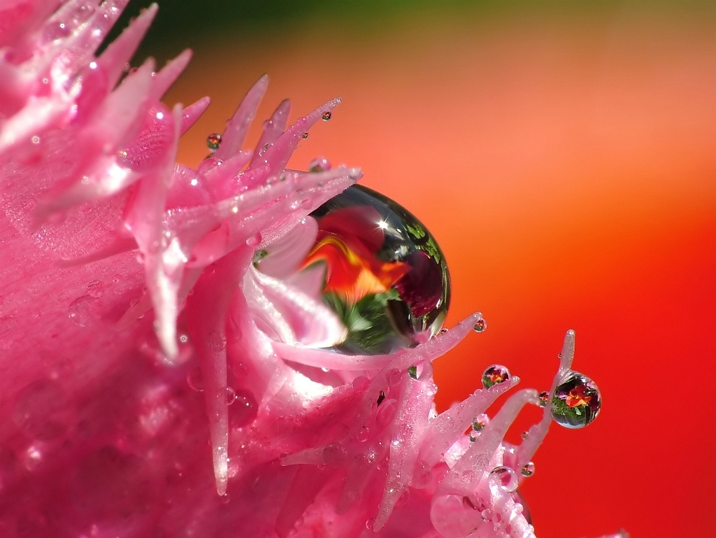 DSCF7949_1-1_filtered_filtered