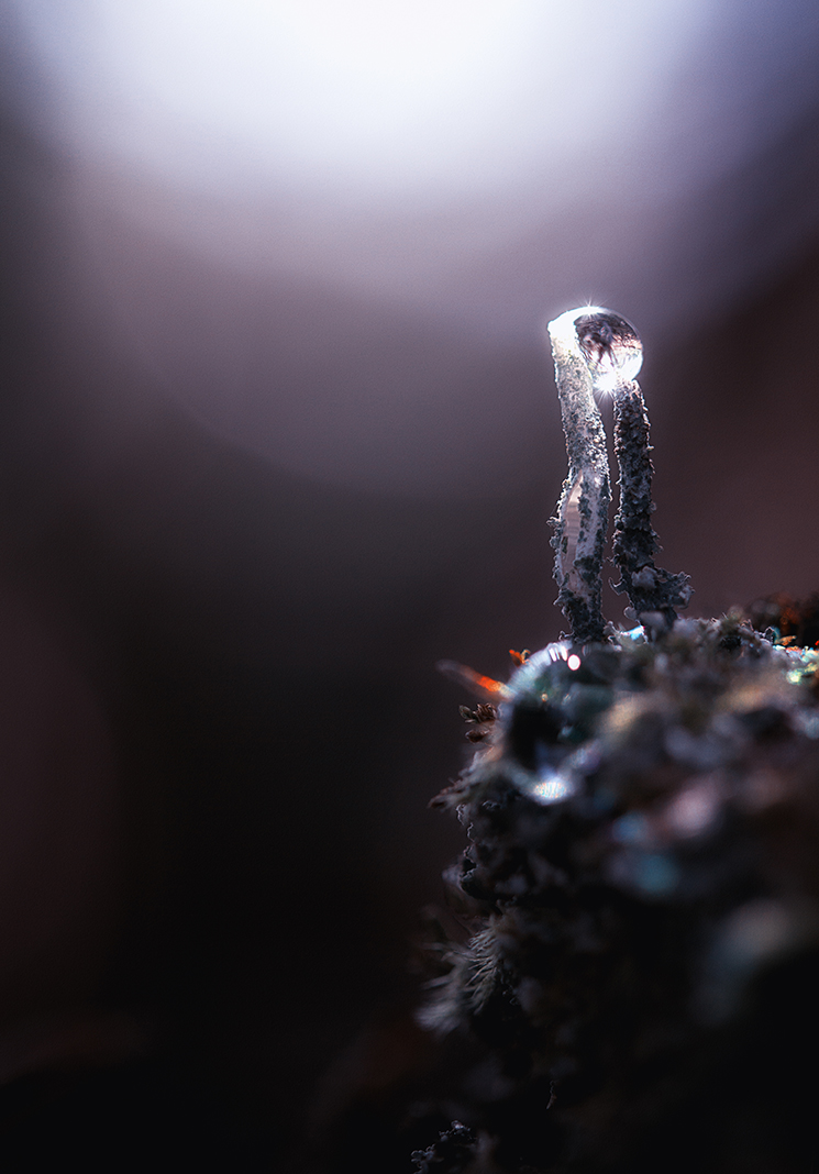 IMG_0868-Edit-Edit-Edit-2_copy