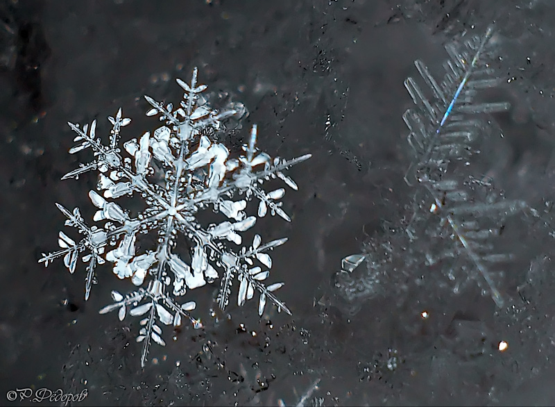 P1081207-09-_filtered