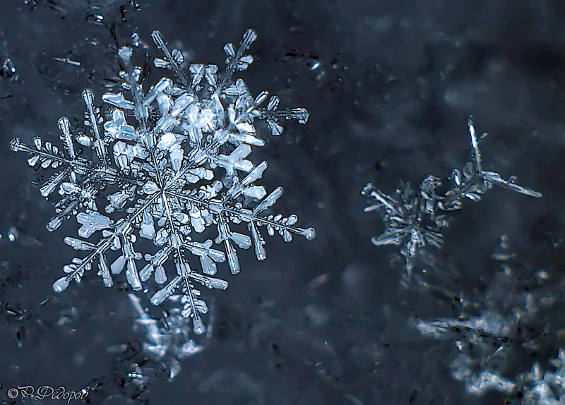 P1081212-13-_filtered