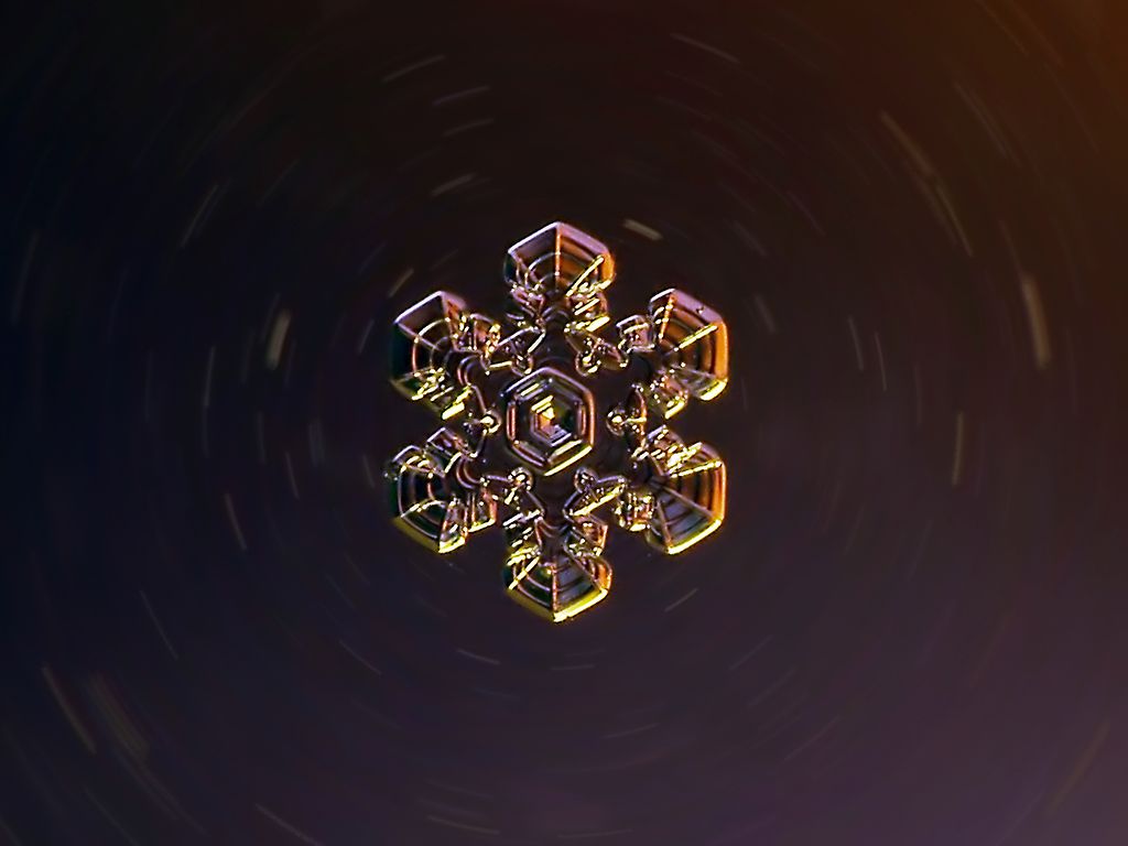 SS859765_filtered1_1_