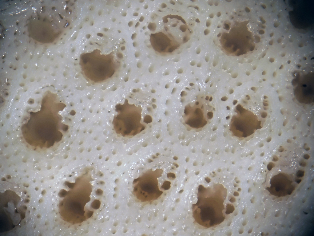 2017-02-19_22-20-19_M_B_R_8_S_4_134_