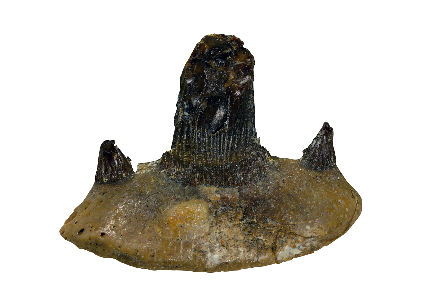 10-10-17_134447_M_A_R_8_S_4