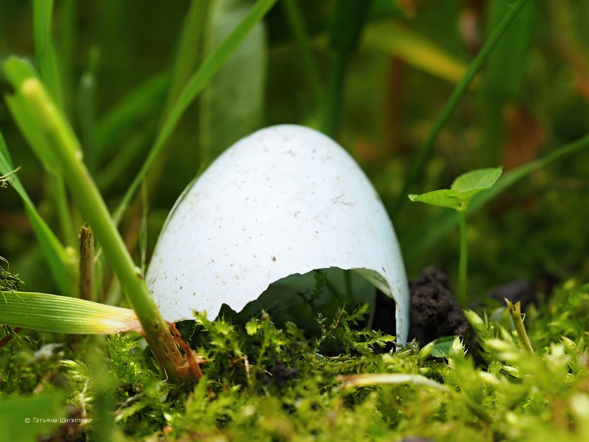 2018-05-22_15-42-20_3_