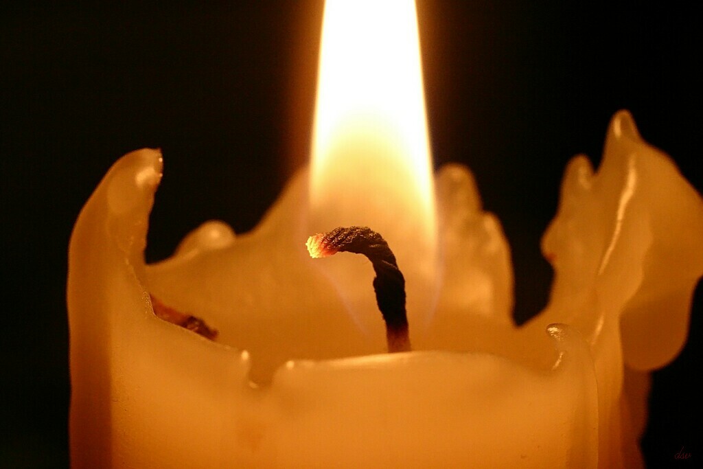 IMG_9677_filtered_filtered